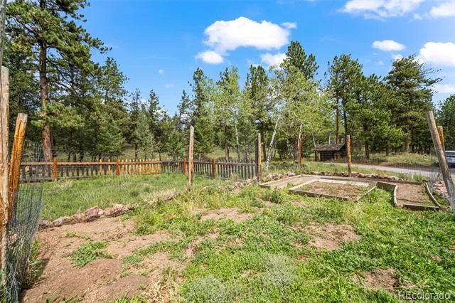 1231 Nova Road Pine, CO 80470