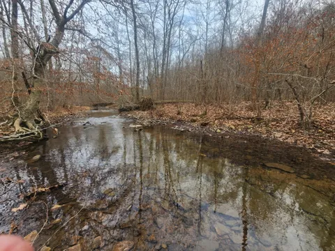 10 Blowing Springs Rd