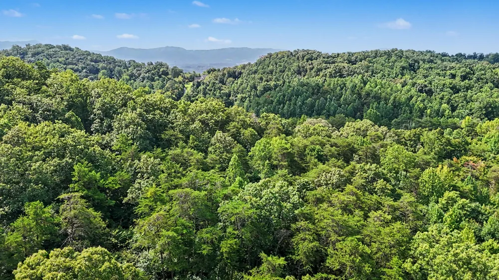 1570 Sandy Ridge Rd Dandridge, TN 37725