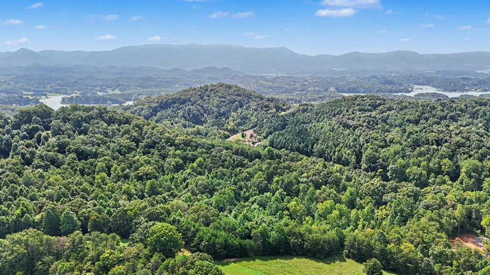 1570 Sandy Ridge Rd Dandridge, TN 37725