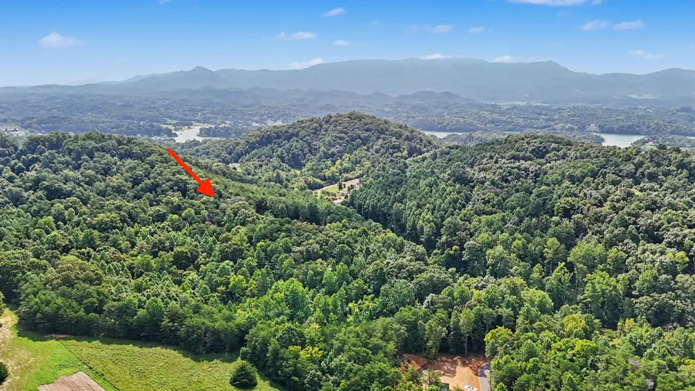1570 Sandy Ridge Rd Dandridge, TN 37725