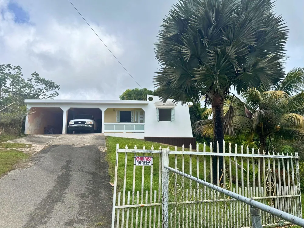 BO MONTONES CARR 917 Las Piedras, PR 00771