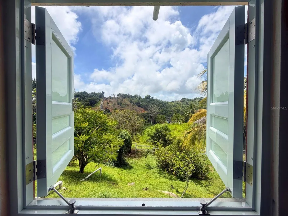 BO MONTONES CARR 917 Las Piedras, PR 00771