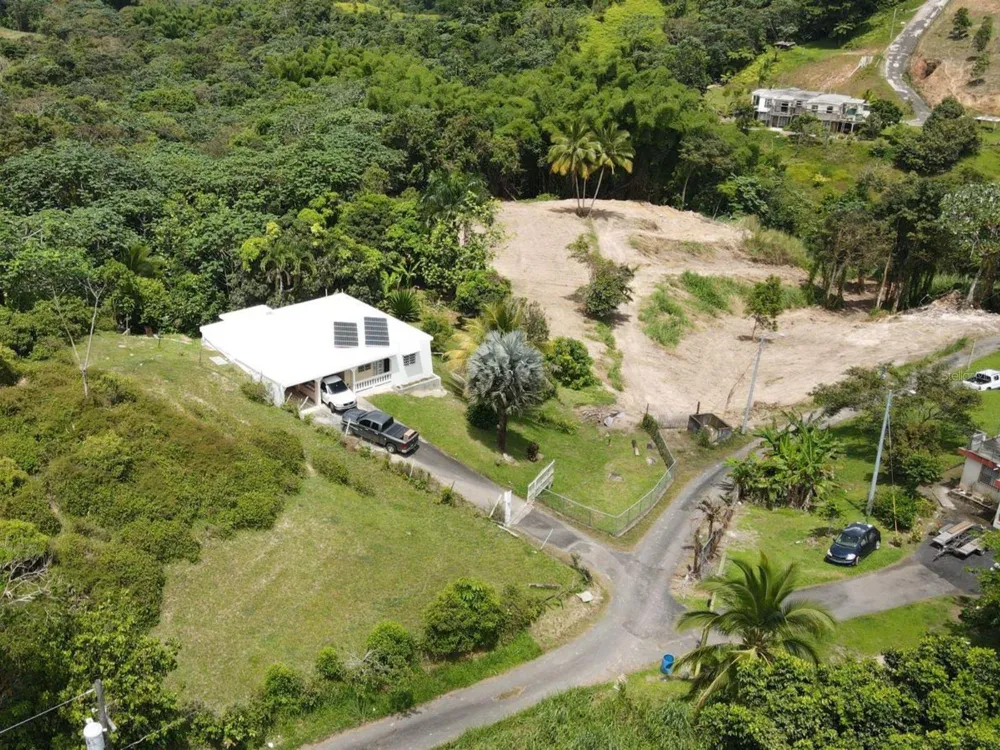 BO MONTONES CARR 917 Las Piedras, PR 00771