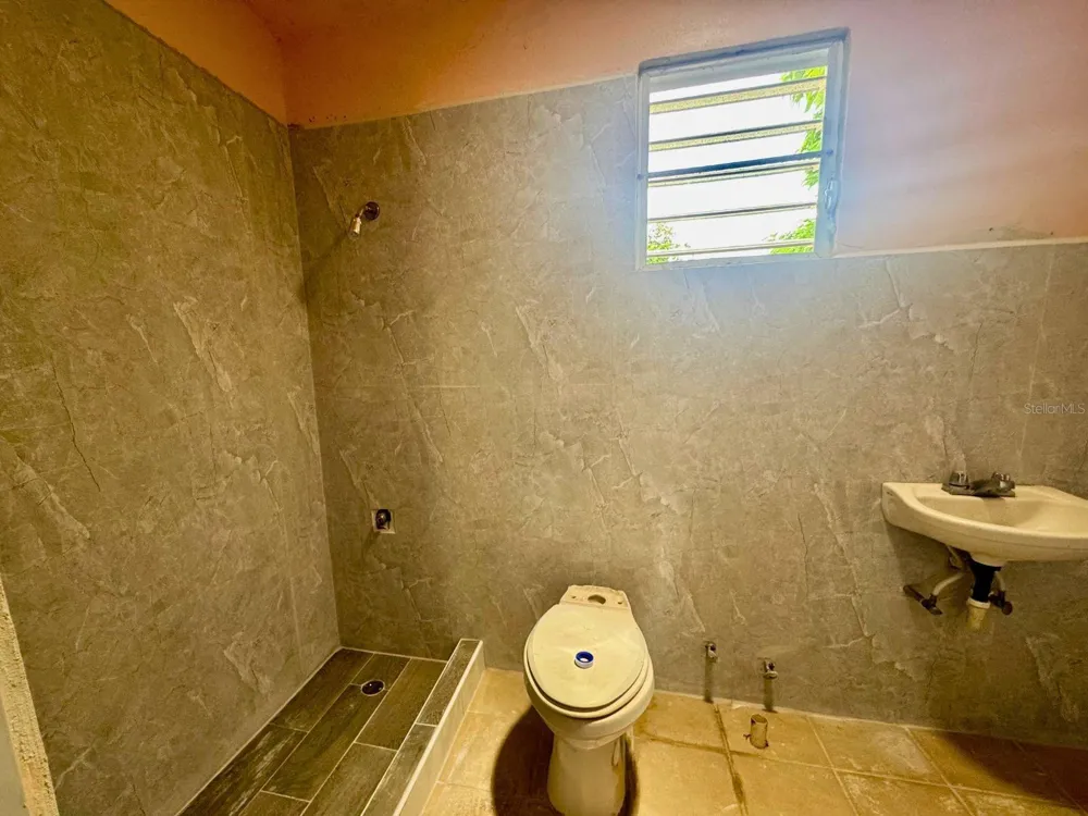 BO MONTONES CARR 917 Las Piedras, PR 00771