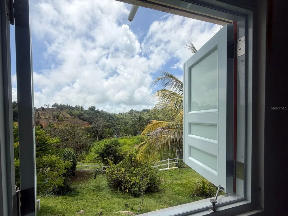 BO MONTONES CARR 917 Las Piedras, PR 00771