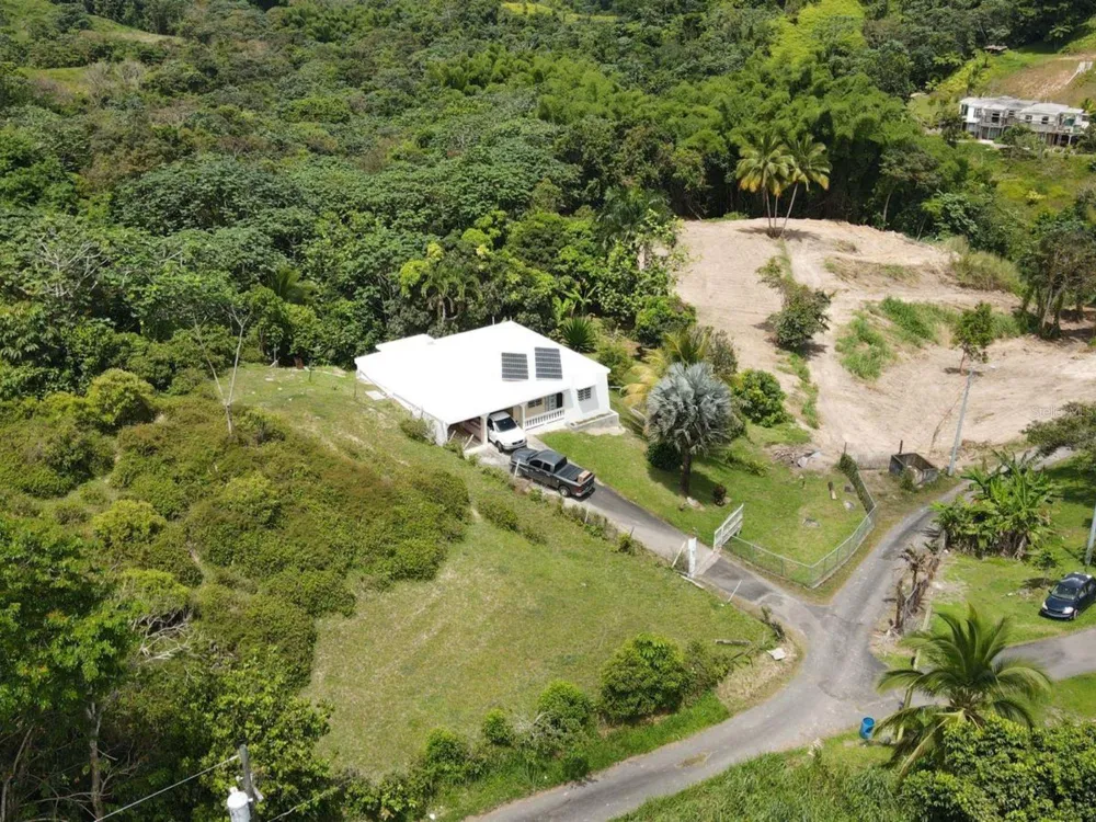 BO MONTONES CARR 917 Las Piedras, PR 00771