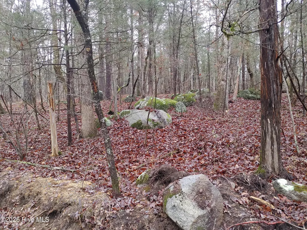 889 Old Stonehouse Road Chapel Hill, NC 27516