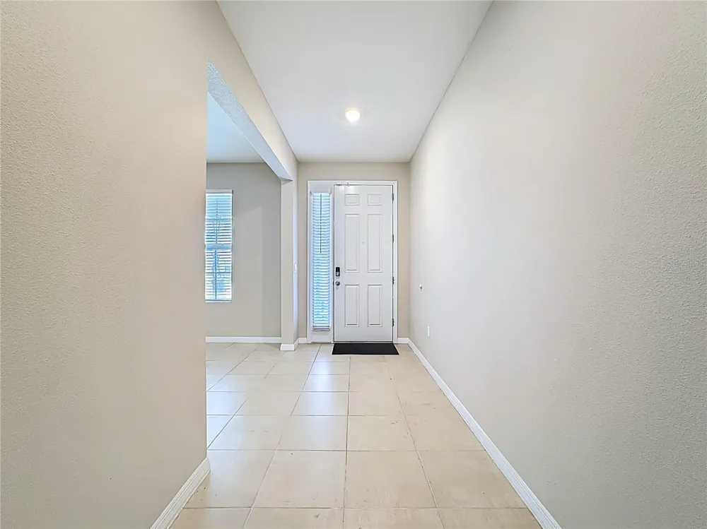 13071 BROOKSIDE MOSS DRIVE Riverview, FL 33579
