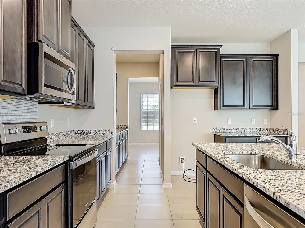 13071 BROOKSIDE MOSS DRIVE Riverview, FL 33579