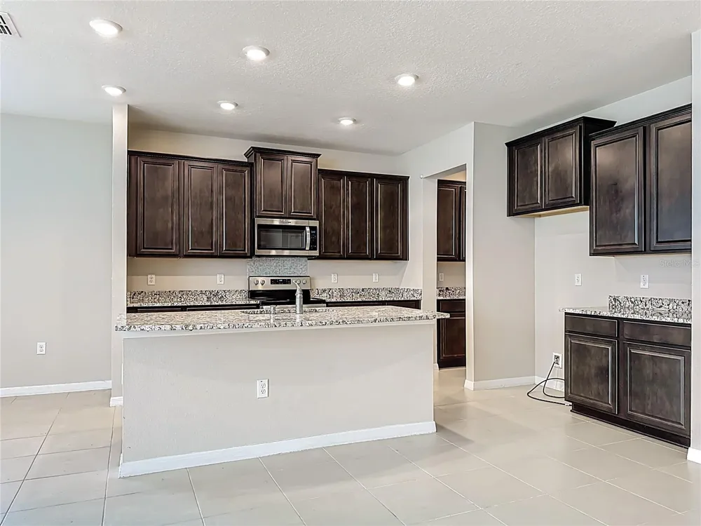 13071 BROOKSIDE MOSS DRIVE Riverview, FL 33579