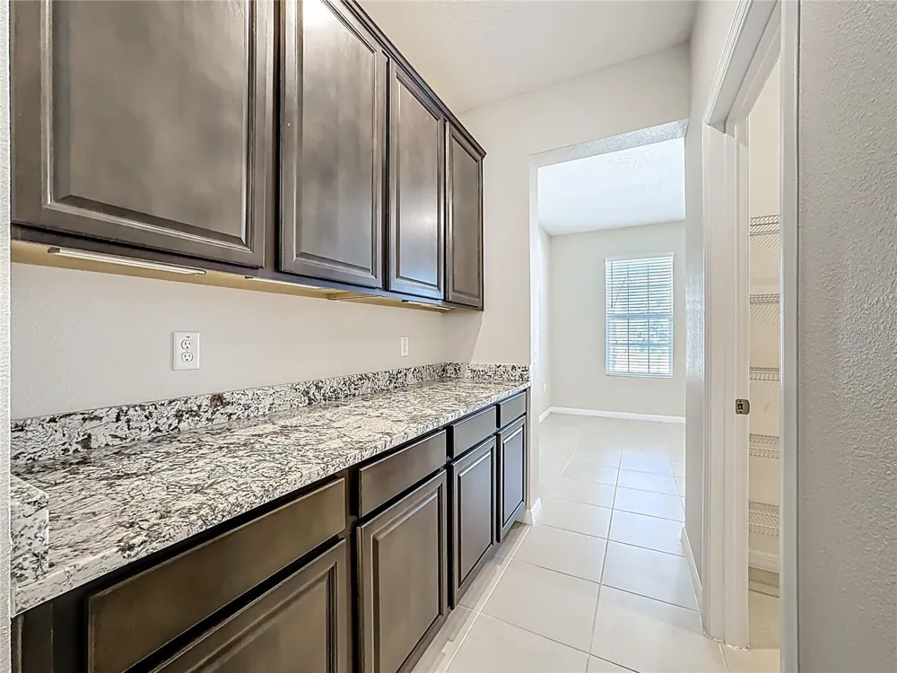 13071 BROOKSIDE MOSS DRIVE Riverview, FL 33579