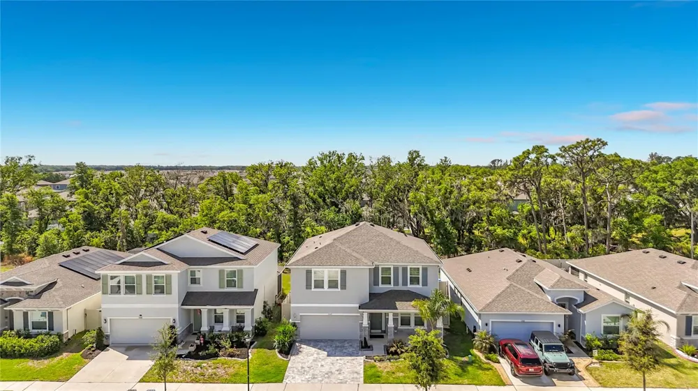 13071 BROOKSIDE MOSS DRIVE Riverview, FL 33579
