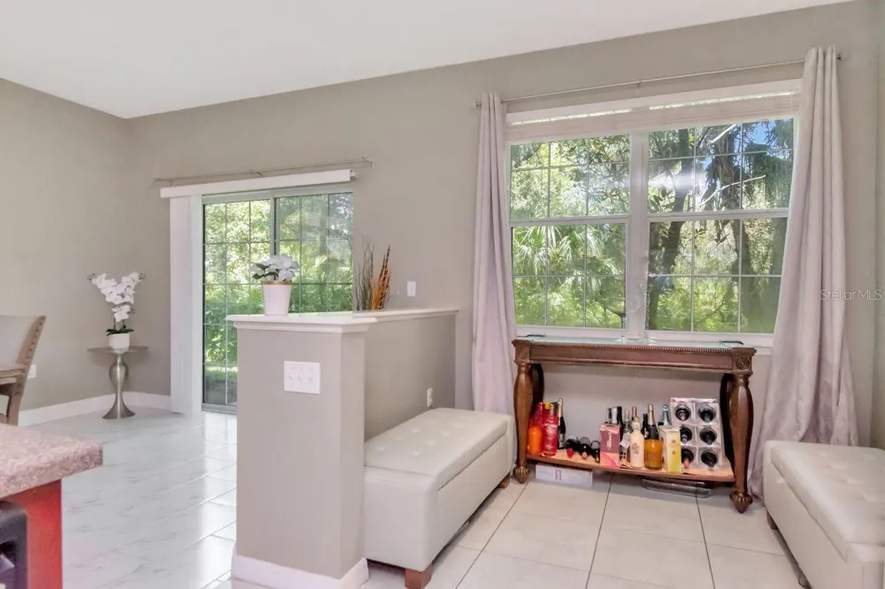 8880 MOONLIT MEADOWS LOOP Riverview, FL 33578