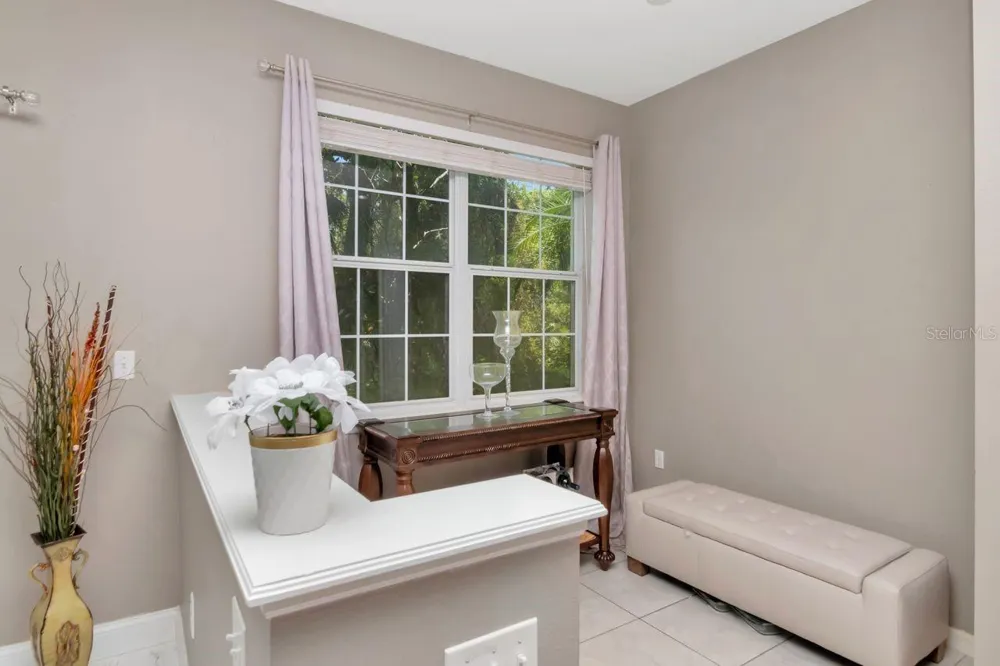 8880 MOONLIT MEADOWS LOOP Riverview, FL 33578