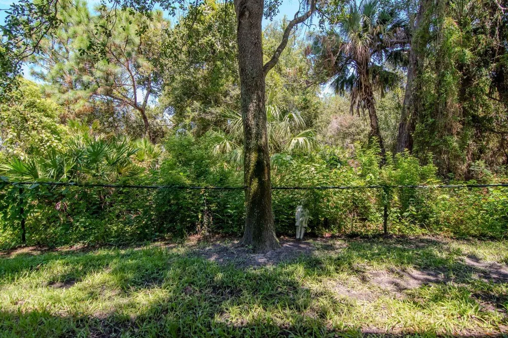 8880 MOONLIT MEADOWS LOOP Riverview, FL 33578