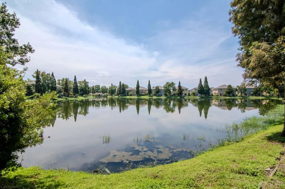 8880 MOONLIT MEADOWS LOOP Riverview, FL 33578