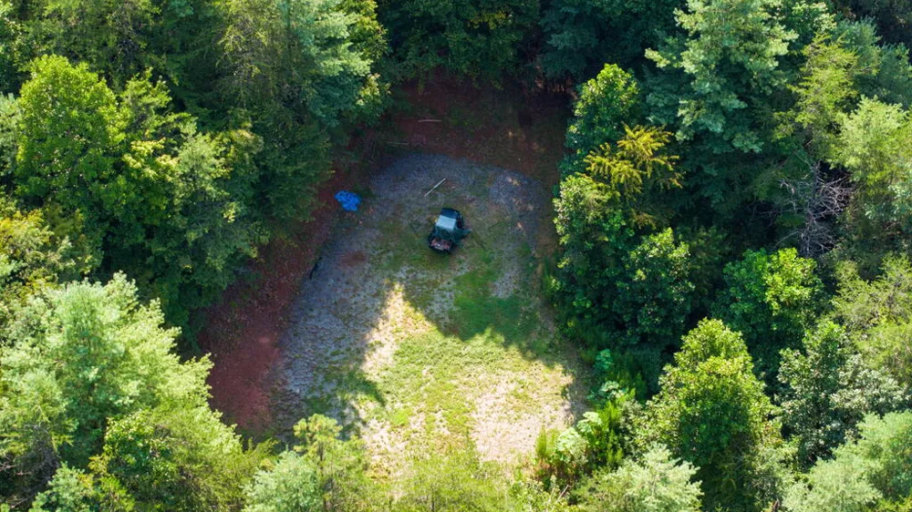 45 Green Cove Road Brasstown, NC 28902