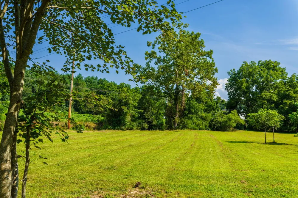 45 Green Cove Road Brasstown, NC 28902