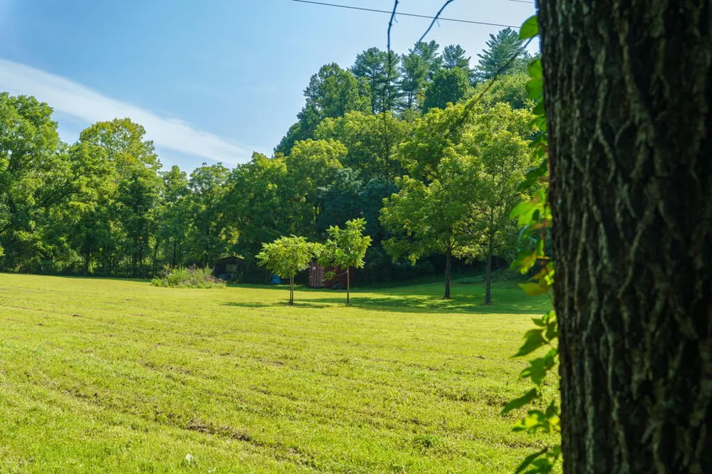 45 Green Cove Road Brasstown, NC 28902