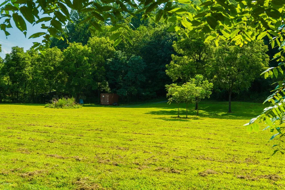 45 Green Cove Road Brasstown, NC 28902
