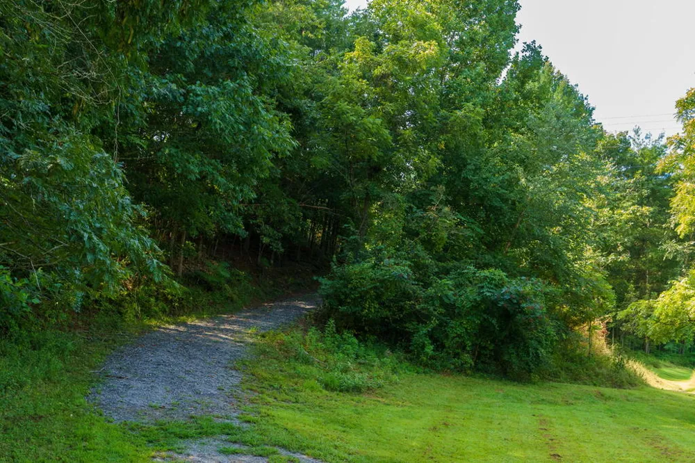 45 Green Cove Road Brasstown, NC 28902
