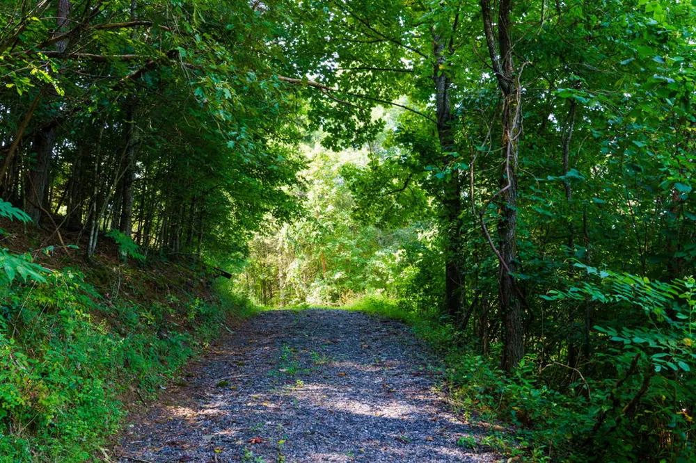 45 Green Cove Road Brasstown, NC 28902
