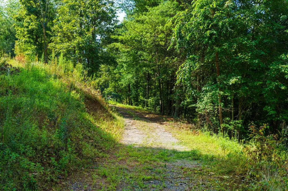 45 Green Cove Road Brasstown, NC 28902