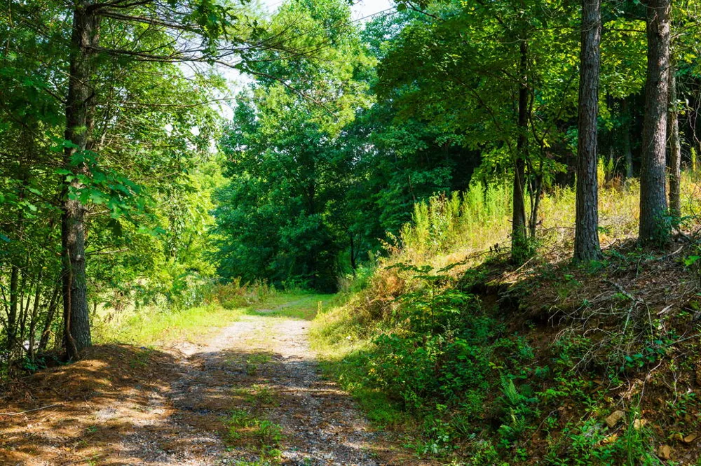 45 Green Cove Road Brasstown, NC 28902