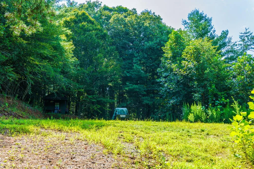 45 Green Cove Road Brasstown, NC 28902