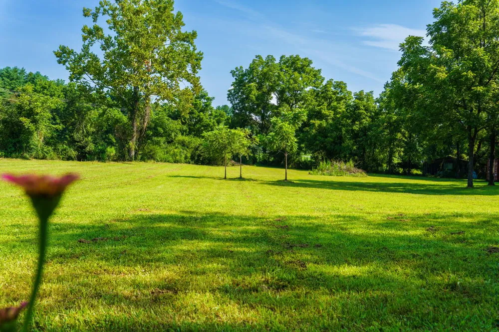45 Green Cove Road Brasstown, NC 28902