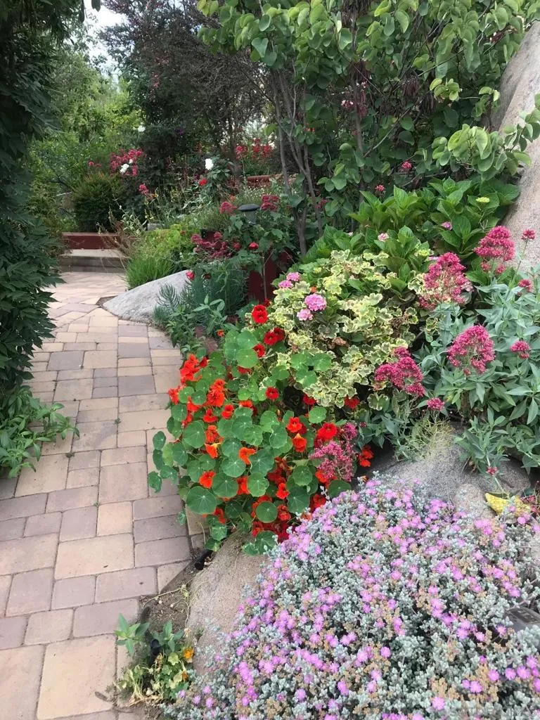 1653 Vista Vereda El Cajon, CA 92019
