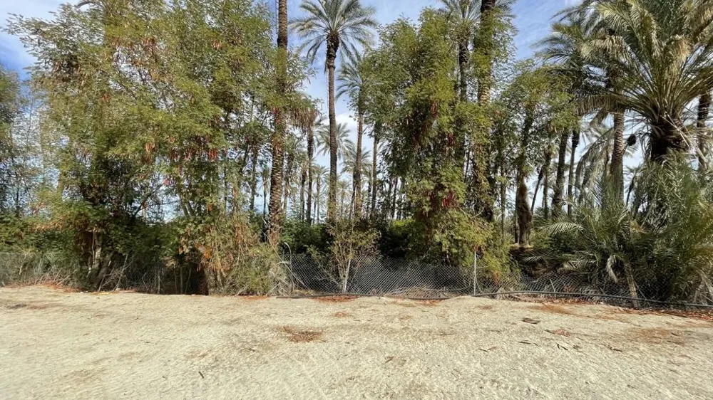 66820 Harrison Street Thermal, CA 92274
