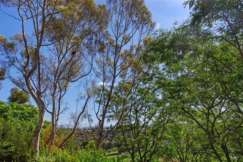 10 Sentinel Aliso Viejo, CA 92656