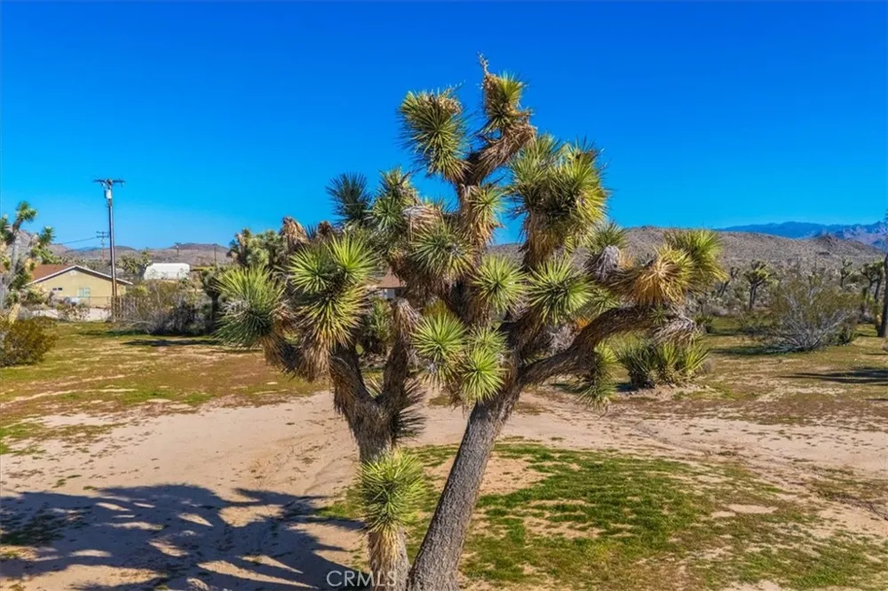 5437 Paradise View Road Yucca Valley, CA 92284