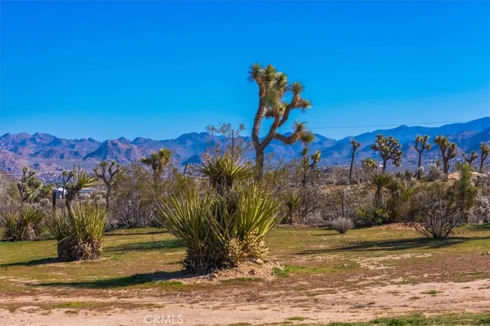 5437 Paradise View Road Yucca Valley, CA 92284