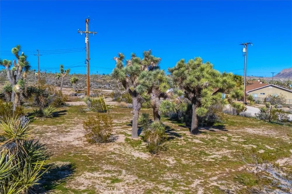 5437 Paradise View Road Yucca Valley, CA 92284