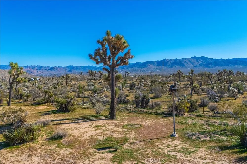 5437 Paradise View Road Yucca Valley, CA 92284