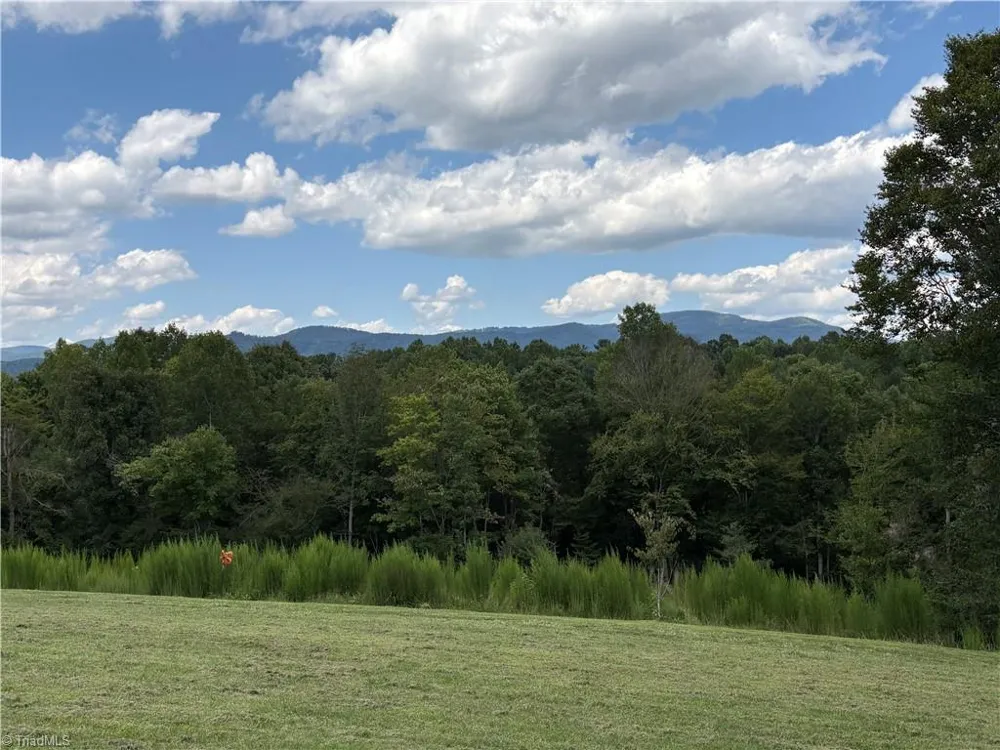 910 Hanks Street Traphill, NC 28685