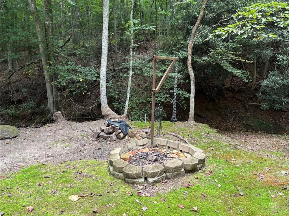 910 Hanks Street Traphill, NC 28685