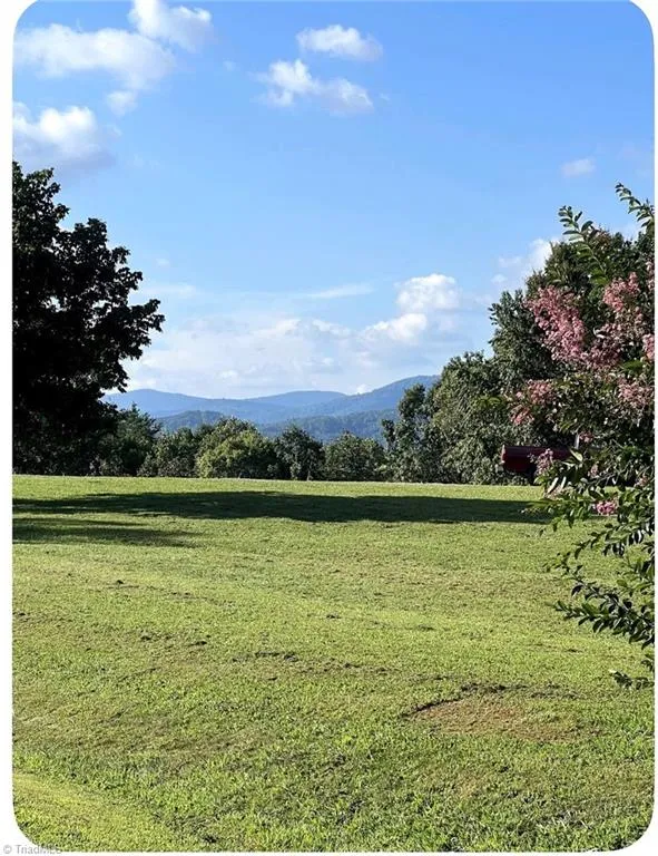 910 Hanks Street Traphill, NC 28685