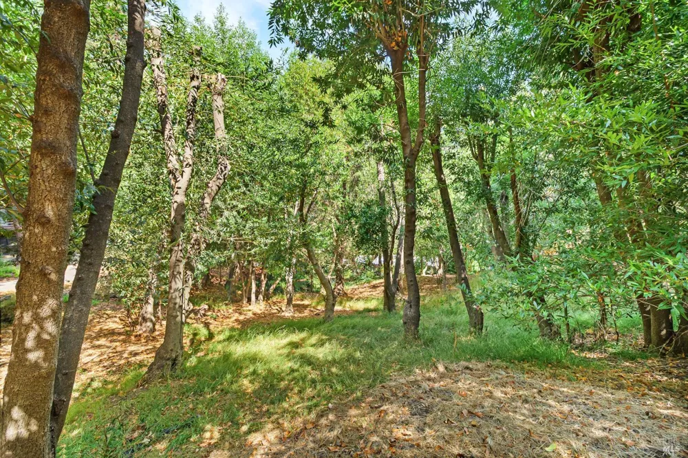 140 Francis Avenue Fairfax, CA 94930