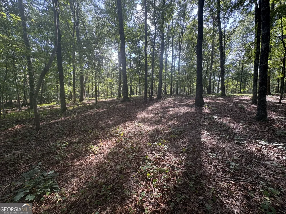 8149 Kelly Bridge RD Dawsonville, GA 30534