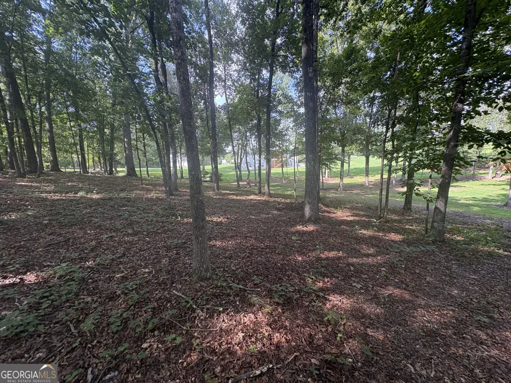 8149 Kelly Bridge RD Dawsonville, GA 30534
