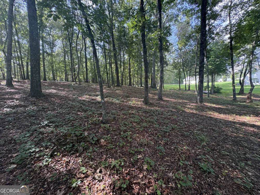 8149 Kelly Bridge RD Dawsonville, GA 30534