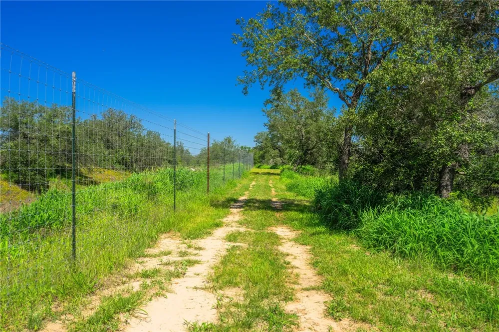 3355 Jim Brite Rd Pleasanton, TX 78064