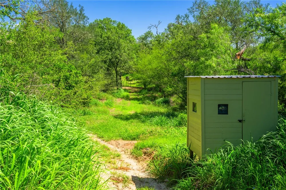 3355 Jim Brite Rd Pleasanton, TX 78064