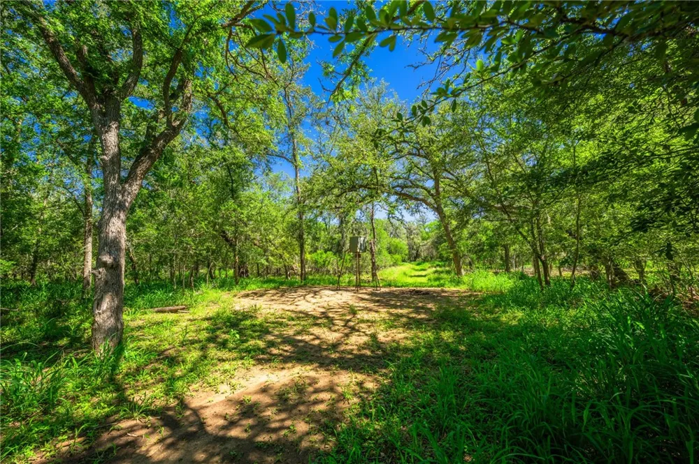 3355 Jim Brite Rd Pleasanton, TX 78064