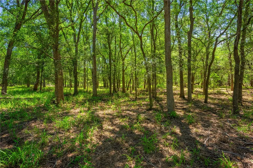 3355 Jim Brite Rd Pleasanton, TX 78064