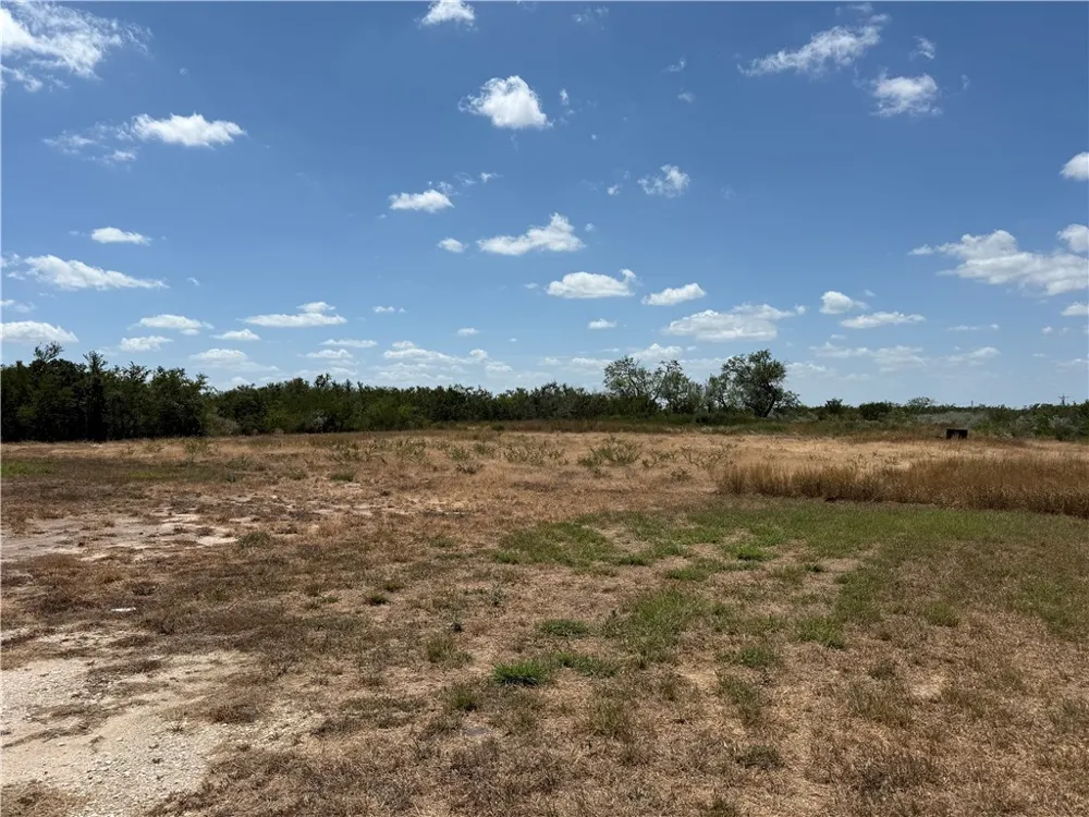 5523 County Road 308 Orange Grove, TX 78372